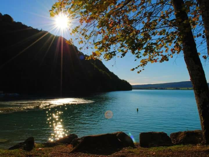 Maison/Gite Familial Dans Le Jura A 200M Du Lac Avec Piscine Privee Marigny  Eksteriør billede
