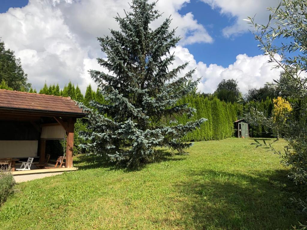 Maison/Gite Familial Dans Le Jura A 200M Du Lac Avec Piscine Privee Marigny  Eksteriør billede