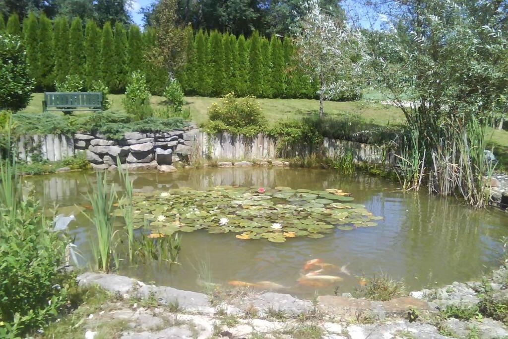 Maison/Gite Familial Dans Le Jura A 200M Du Lac Avec Piscine Privee Marigny  Eksteriør billede