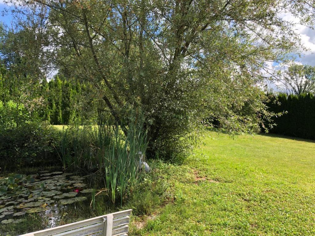 Maison/Gite Familial Dans Le Jura A 200M Du Lac Avec Piscine Privee Marigny  Eksteriør billede