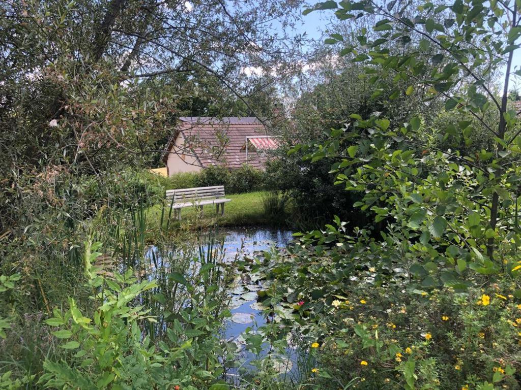 Maison/Gite Familial Dans Le Jura A 200M Du Lac Avec Piscine Privee Marigny  Eksteriør billede